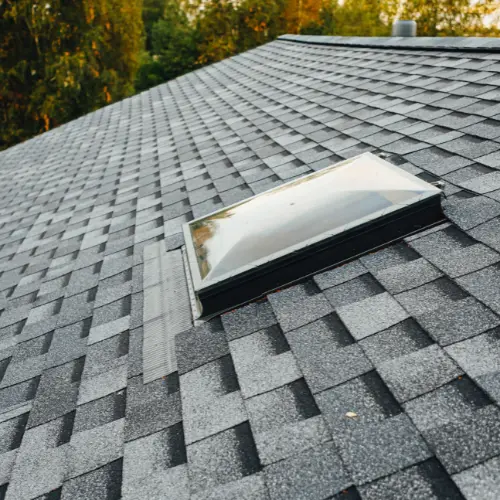 Professional Roofing Contractors